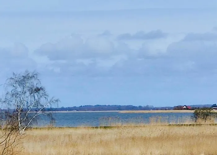 Vakantiehuis By Sandy